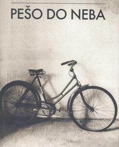 Pešo do neba (Dušan Dušek)