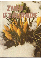 Rok v záhrade-zima