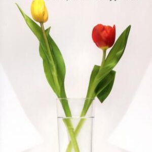 Tulipány v novembri (Pierre Mertens)