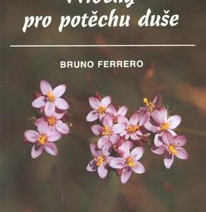 Příběhy pro potěchu duše (Bruno Ferrero) (česky)