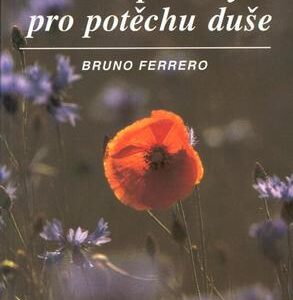 Další příběhy pro potěchu duše (Bruno Ferrero) (česky)
