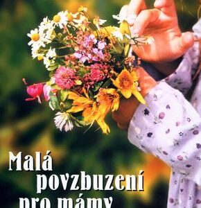 Malá povzbuzení pro mámy a táty (Helena Chvátalová) (česky)