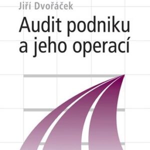 Audit podniku a jeho operací (Jiří Dvořáček) (česky)