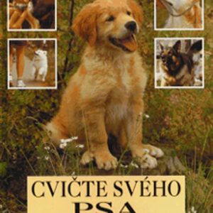Cvičte svého psa (Don Harper) (česky)