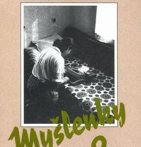 Myšlenky 9. (Hana Ševčíková) (česky)