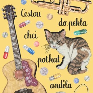 Cestou do pekla chci potkat anděla (David Hájek) (česky)