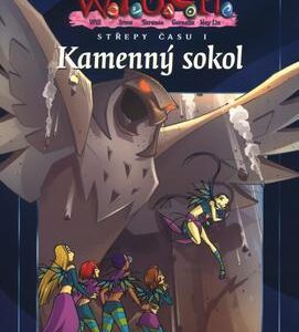 Witch Kamenný sokol (Lene Kaaberbol) (česky)