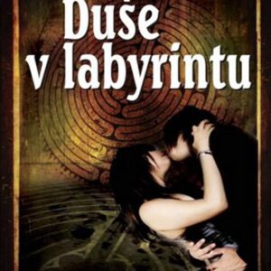 Duše v labyrintu (Lenka Teremová) (česky)
