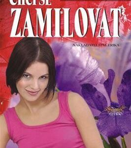 Chci se zamilovat (Luděk Stínil) (česky)