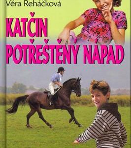 Katčin potřeštěný nápad (Věra Řeháčková) (česky)