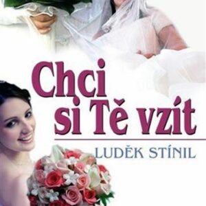 Chci si Tě vzít (Luděk Stínil) (česky)