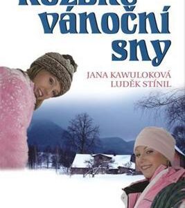 Rozbité vánoční sny (Luděk Stínil) (česky)