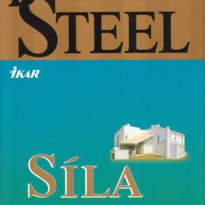 Síla odvahy (Danielle Steel) (česky)