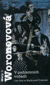 V podzemních vodách (má léta ve Warholově Továrně) (Woronovová, Mary) (česky)