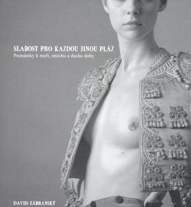 Slabost pro každou jinou pláž (David Zábranský) (česky)