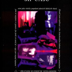 Šíp času (Martin Amis) (česky)