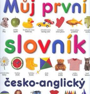 Můj první slovník česko-anglický (Angela Wilkes) (česky)