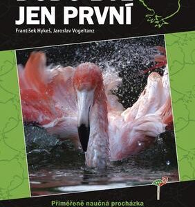 Dodo byl jen první (Jaroslav Vogeltanz) (česky)