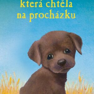 O Pralince, která chtěla na procházku (Holly Webb) (česky)