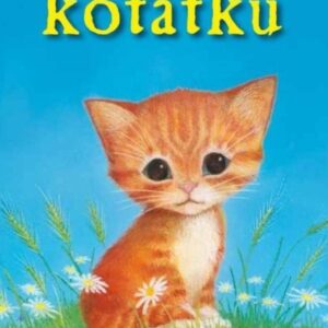 O zrzavém koťátku (Holly Webb) (česky)