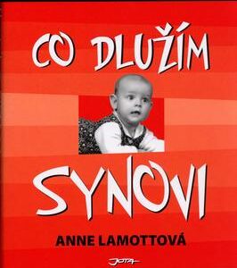 Co dlužím synovi (Lamott Anne) (česky)