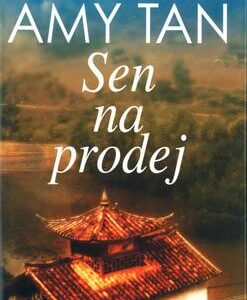 Sen na prodej (Amy Tan) (česky)