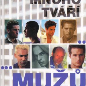 Mnoho tváří mužů (Stephen Whitehead) (česky)