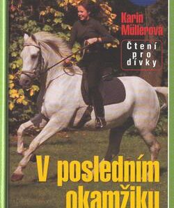 V posledním okamžiku (Karin Müllerová) (česky)
