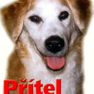 Přítel s dlouhýma ušima (Mark Reed Levin) (česky)