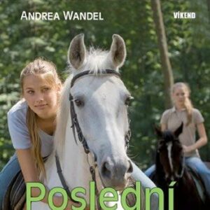 Poslední překážka (Andrea Wandel) (česky)