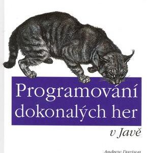 Programování dokonalých her v Javě (Andrew Davison) (česky)
