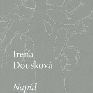 Napůl ve vzduchu (Irena Dousková) (česky)