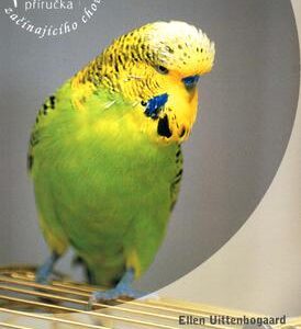 Andulky (Ellen Uittenbogaard) (česky)