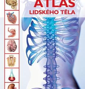 Atlas lidského těla (Jordi Vigué) (česky)