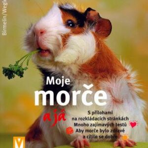 Moje morče a já (Immanuel Birmelin) (česky)