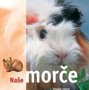 Naše morče (Katrin Behrend) (česky)