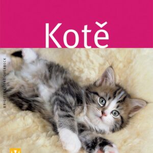 Kotě (Brigite Eilert-Overbeck) (česky)