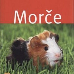 Morče (Immanuel Birmelin) (česky)