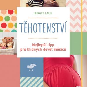 Těhotenství - Nejlepší tipy pro klidných devět měsíců (Birgit Laue) (česky)