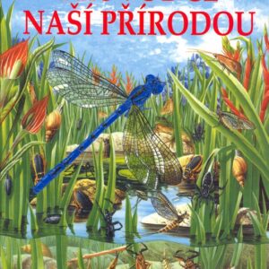 Průvodce naší přírodou (Dagmar Steidlová) (česky)