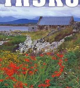 Irsko - Lonely Planet (Downs, Tom) (česky)