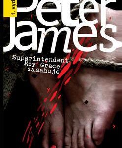 Vražedné cédéčko (Peter James) (česky)