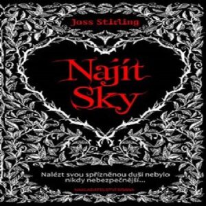 Najít Sky (Stirling Joss) (česky)