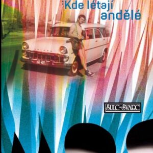 Kde létají andělé (Stanislav Moc) (česky)