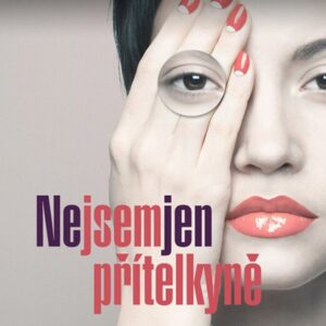 Nejsem jen přítelkyně (Karel Štorkán) (česky)