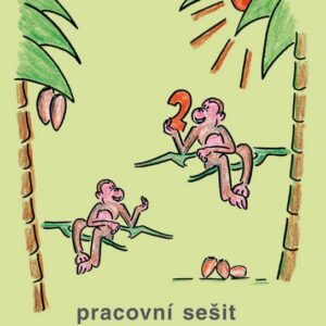 Pracovní sešit k učebnici matematika 4 II. díl (Milena Vaňurová) (česky)