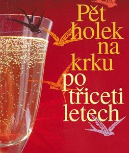 Pět holek na krku po třiceti letech (Iva Hercíková) (česky)