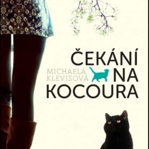 Čekání na kocoura (Michaela Klevisová) (česky)