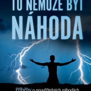 To nemůže být náhoda (King Brian) (česky)