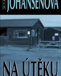 Na útěku (Iris Johansenová) (česky)